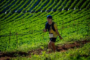 BIB: 2832
                            <button type="button" onclick="openModal(19160805)" class="btn btn-primary btn-sm float-right btn-popup" data-toggle="modal" data-target=".modal-high-quality">
                        <i class="fas fa-shopping-cart"></i> Add to Cart
                    </button>
                                            <button type="button" onclick="isThisMe(19160805, true)" class="btn btn-success btn-sm float-right btn-popup btn-isme hidden" data-toggle="tooltip" data-placement="bottom" title="นี่คือรูปของคุณใช่ไหม คลิกที่นี่เพื่อเอาเข้าอัลบั้ม">
                        <i class="fas fa-plus"></i> Add to album
                    </button>
                    <button type="button" onclick="isThisMe(19160805, false)" class="btn btn-warning btn-sm float-right btn-popup btn-isnotme hidden">
                        <i class="fas fa-ban"></i> Remove from album
                    </button>